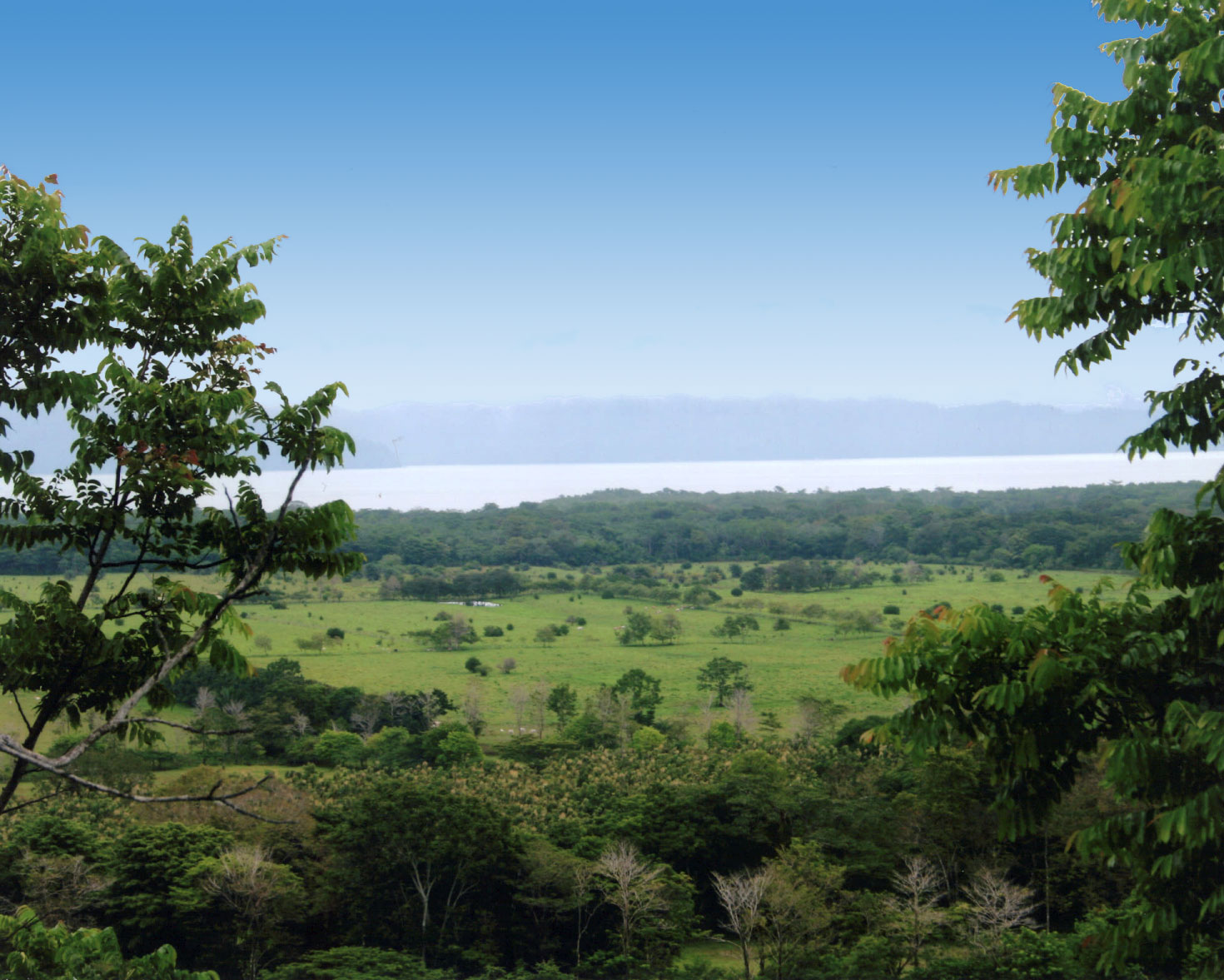 Osa Pointe, Puerto Jimenez, Costa Rica